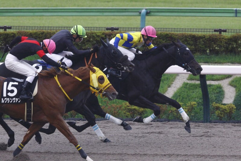【河口湖S】武豊、本日の3勝目…ロジアデレードで抜け出す