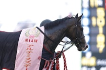 WIN5は125万円超の払戻し…アルテミスSはフィロステファニがV