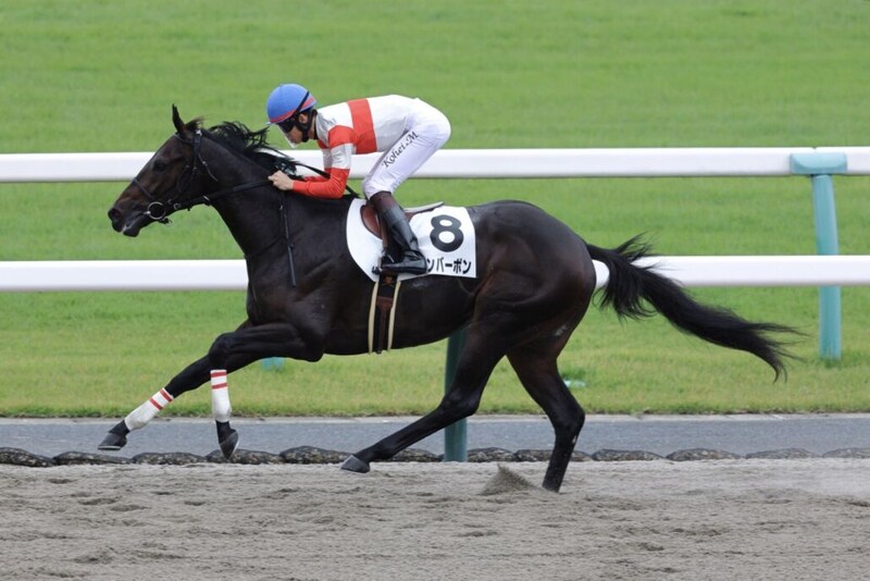 【新馬/京都4R】外国産ダノンバーボンが10馬身差で逃げ切る