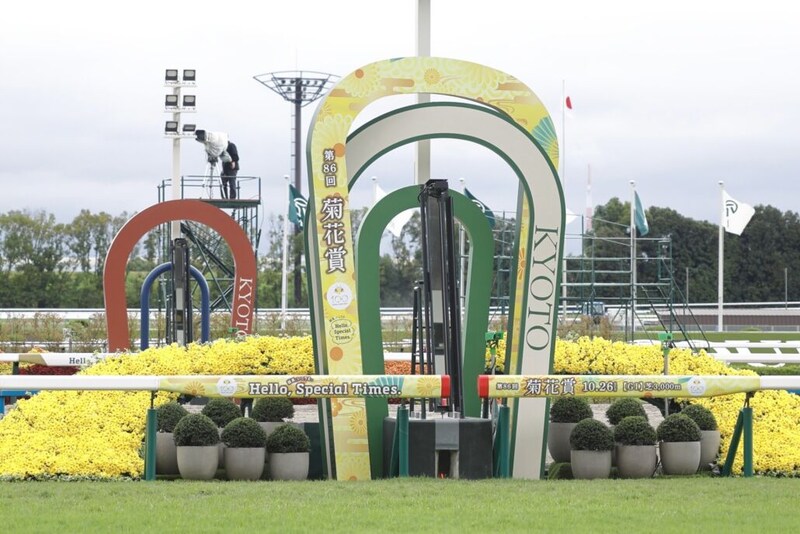 【菊花賞】エネルジコ鮮やかな差し切りでG1初制覇…ルメール騎手は菊3連覇