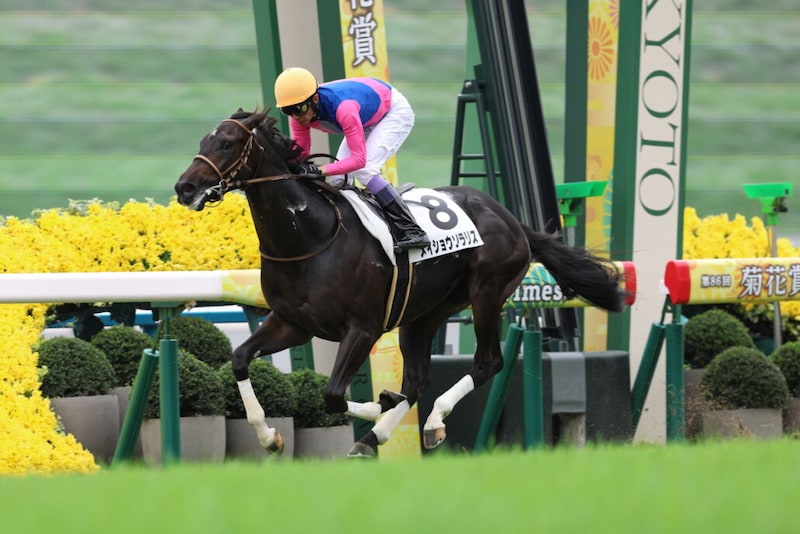 【京都3R】武豊メイショウソラリスが逃げ切る