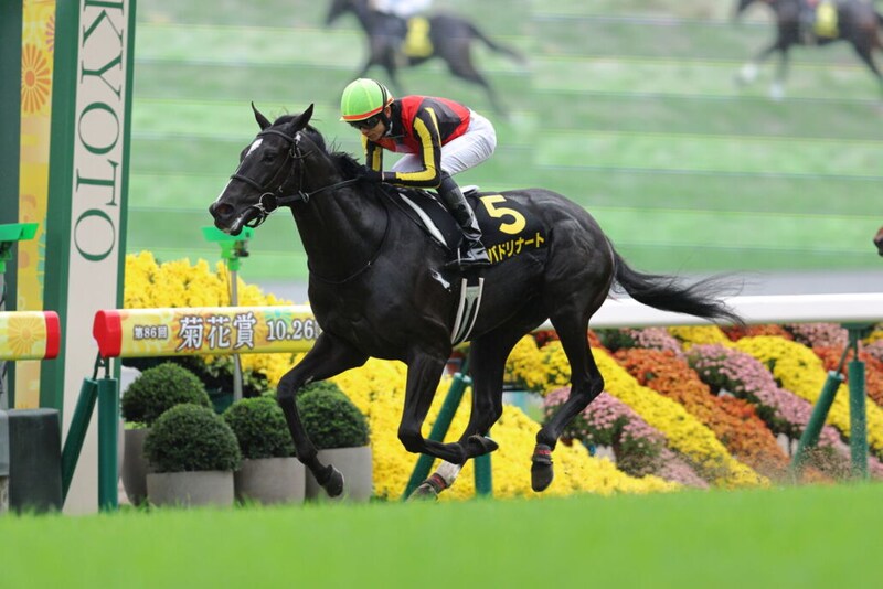 坂井瑠星騎手 JRA年間100勝達成