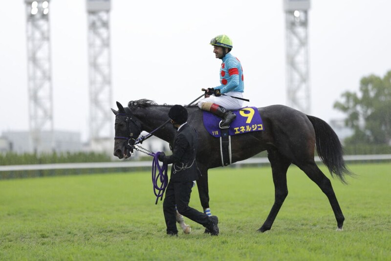 【菊花賞】ルメール「京都でのG1は特別」エネルジコがG1初制覇