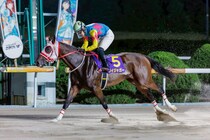 【佐賀・ロータスクラウン賞】ソイジャガーが5連勝…石川慎将騎手、急遽騎乗も圧勝