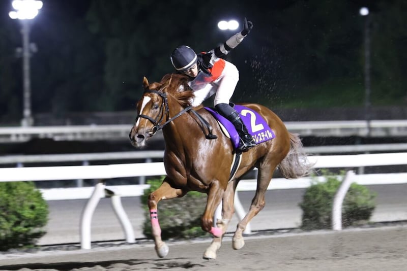 【ネクストスター高知】エンドレステイル、7馬身差の圧勝劇…デビュー2戦目で重賞制覇