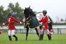 WIN5は7349票の的中…菊花賞はエネルジコが人気に応える