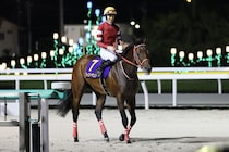 【ブリーダーズカップ】フォーエバーヤング好枠ゲット…現地で最終調整進む