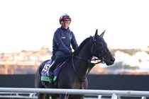 【ブリーダーズカップ】世界制覇へ準備完了。フォーエバーヤング“100点追い”…アルジーヌも手応え抜群