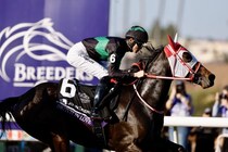 【BCジュベナイルフィリーズターフ】日本馬スウィッチインラヴは11着…マーフィー騎乗のバランティナが制する