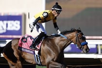 【BCジュベナイルフィリーズ】迷いなしの逃げ切り！スペルコレドラが重賞初挑戦でG1奪取