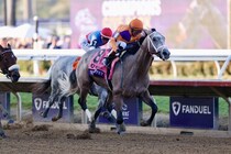 【BCジュベナイル】テッドノフィーが無傷の4連勝で2歳王者に輝く