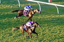 【BCジュベナイルターフ】木村和士騎乗の伏兵スタークコントラストが2着…スミヨン騎乗のグスタードが人気に応える