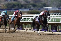 【BCスプリント】アメリカンステージは4番手入線…米ベントルナートがV