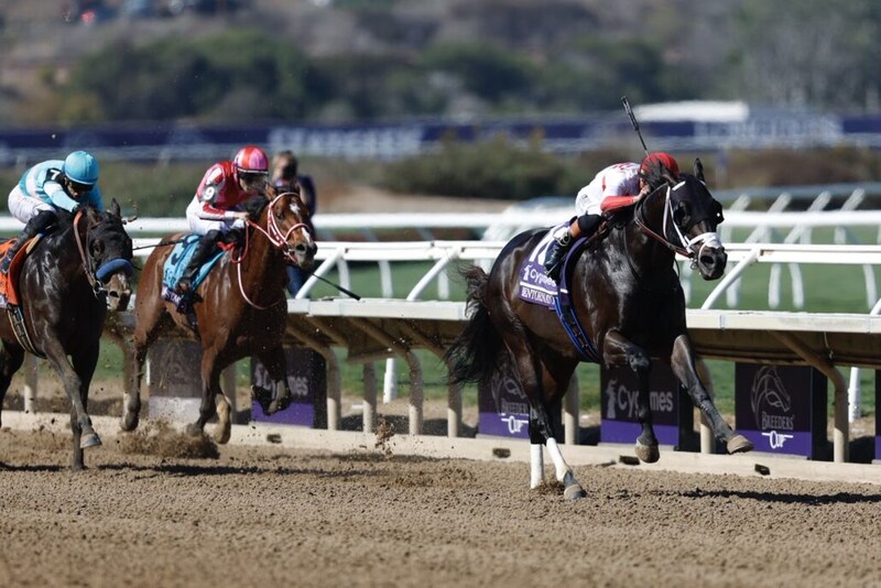 【BCスプリント】アメリカンステージは4番手入線…米ベントルナートがV