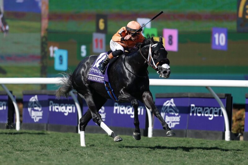 【BCターフスプリント】インビンシブルパパ6着…米シソスパイシーが逃げ切る