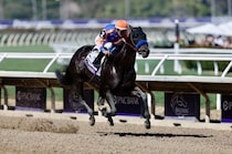 【BCフィリー＆メアスプリント】地元スプレンドラが鮮やか抜け出しV