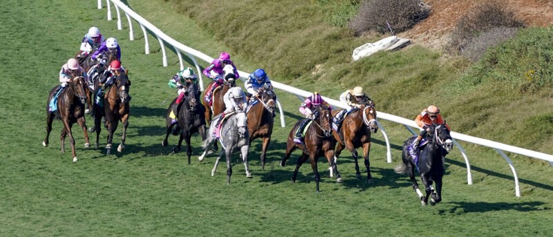 【BCターフスプリント】伊藤大師「世界は広かった」…インビンシブルパパ果敢に先行も6着