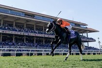 【BCターフスプリント】オルティスJr.「とても楽でした」…米シソスパイシーが“圧逃”V！日本勢は完敗