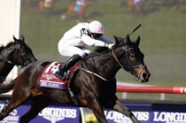 【BCターフ】平地障害の二刀流エシカルダイアモンドが大金星…レベルスロマンスは2着