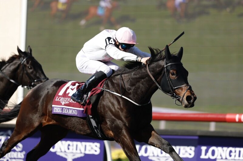 【BCターフ】平地障害の二刀流エシカルダイアモンドが大金星…レベルスロマンスは2着