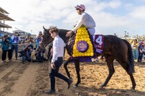 【BCターフ】ミニーホークもゴリアットも斬り伏せた、二刀流エシカルダイアモンド…マクモナグル「最高の形になりました」