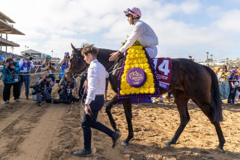 【BCターフ】ミニーホークもゴリアットも斬り伏せた、二刀流エシカルダイアモンド…マクモナグル「最高の形になりました」