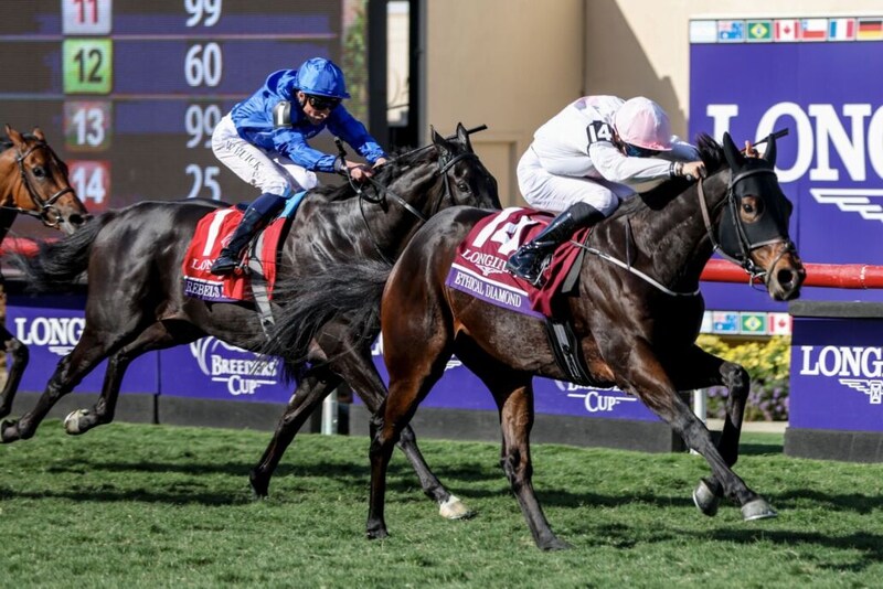 【BCターフ】ビュイック「相手が上だった」…レベルスロマンス3度目のVならず