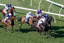 【BCターフ】オブライエン師「来年も現役」…ミニーホークはまさかの6着敗戦