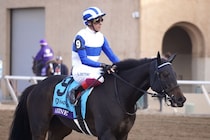 【BCマイル】デットーリ、最後のBCマイル挑戦は6着…アルジーヌは追い込み届かず6着まで