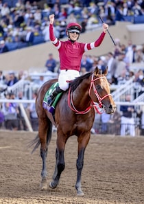 【BCクラシック】フォーエバーヤング、世界制覇。坂井瑠「馬に感謝、全てに感謝」