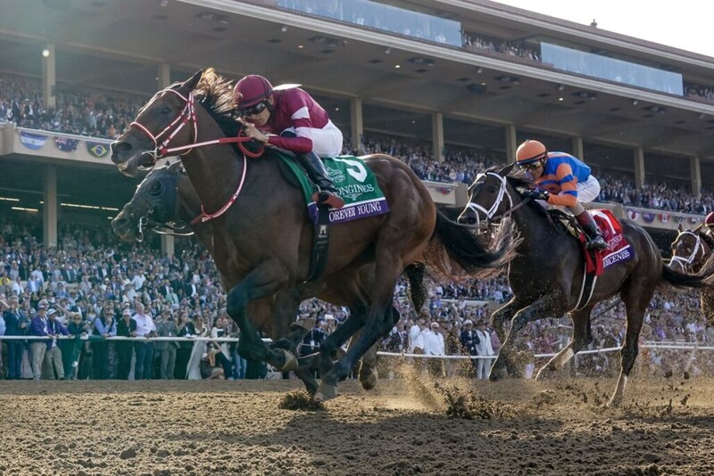 【BCクラシック】フィアースネス、最内の呪縛で3着…日本馬フォーエバーヤングの影を追う形に