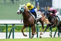 【京王杯2歳登録馬】ダイヤモンドノットなど16頭