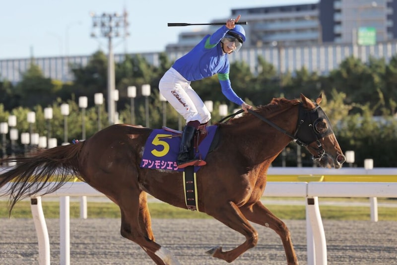 【JBCレディスクラシック】アンモシエラ連覇…武豊オーサムリザルトは3着