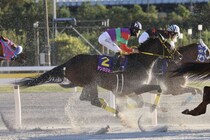 【JBCレディスクラシック】松山「きょうもゲートが響いた」テンカジョウは追い込むも2着まで