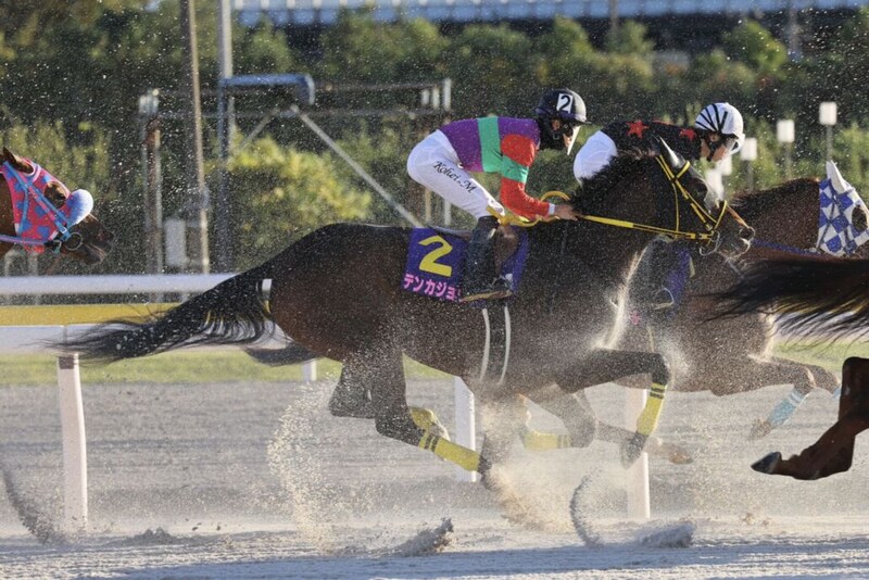 【JBCレディスクラシック】松山「きょうもゲートが響いた」テンカジョウは追い込むも2着まで