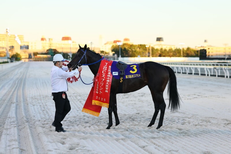 【JBCスプリント】荒山師「来年は海外も視野に」大井所属ファーンヒルが鮮やか逃げきりV