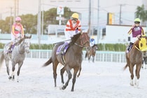 【JBCスプリント】武豊「またすぐチャンスがある」チカッパは4着