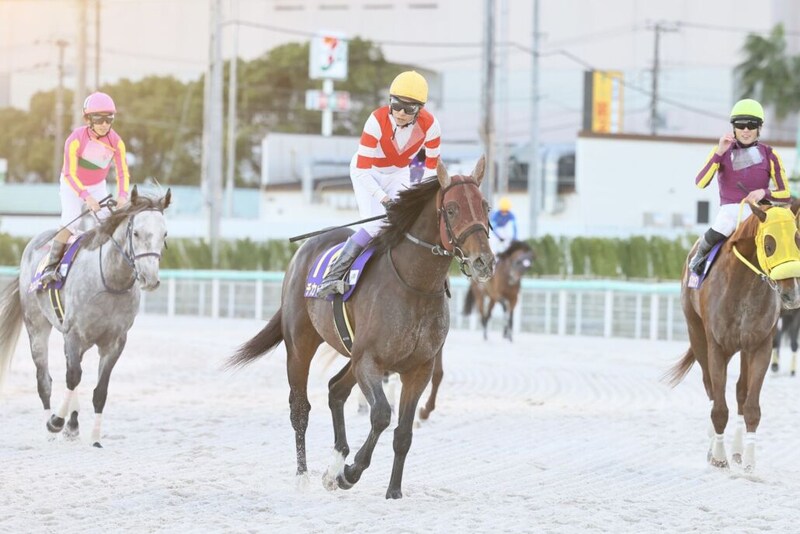 【JBCスプリント】武豊「またすぐチャンスがある」チカッパは4着