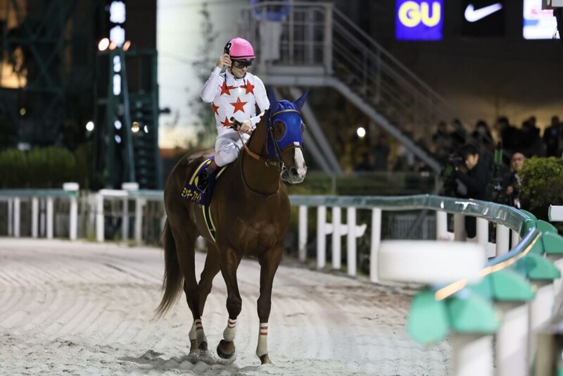 【JBCクラシック】ルメール「馬の状態も完璧」ミッキーファイトが3馬身差の完勝