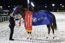 【JBCクラシック】田中博師「来年は中東に行きたい」ミッキーファイトが交流G1連勝