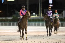 【JBCクラシック】浜中「底力を感じるレース内容」メイショウハリオは力示す2着