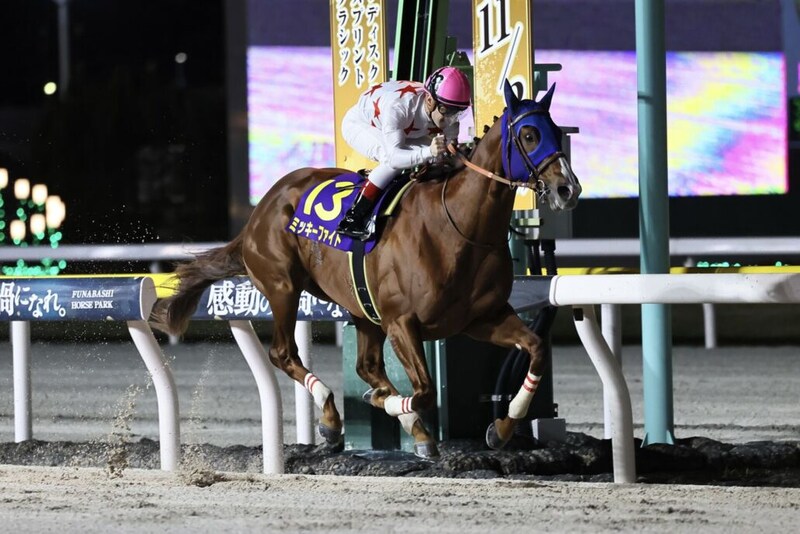 JBC開催船橋競馬が売得金レコードを更新…1日で83億円超、JBCクラシックも歴代最高に