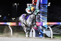 【地方競馬】フェブランシェが総合優勝…グランダム・ジャパン2025古馬・秋シーズン