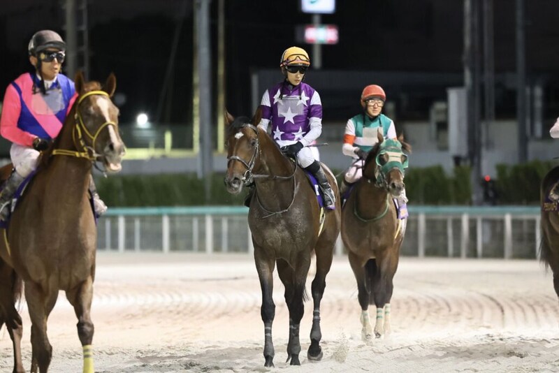 【JBCクラシック】坂井瑠「広いコースならまた巻き返せる」レース後ジョッキーコメント