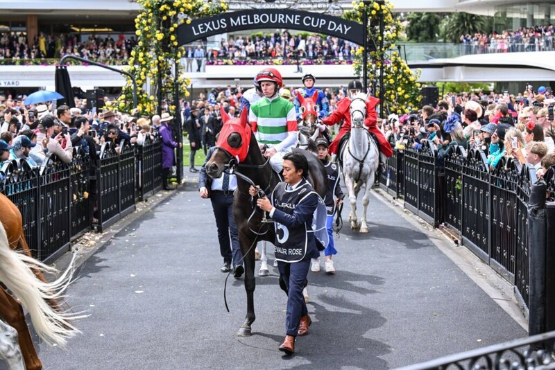 【豪メルボルンカップ】日本馬シュヴァリエローズは23着大敗…女性騎手J.メルハム騎乗、ハーフユアーズがV