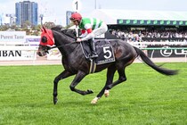 【豪メルボルンカップ】レーン「良い時の走りではなかった」…シュヴァリエローズは23着大敗、女性騎手J.メルハム騎乗ハーフユアーズがV