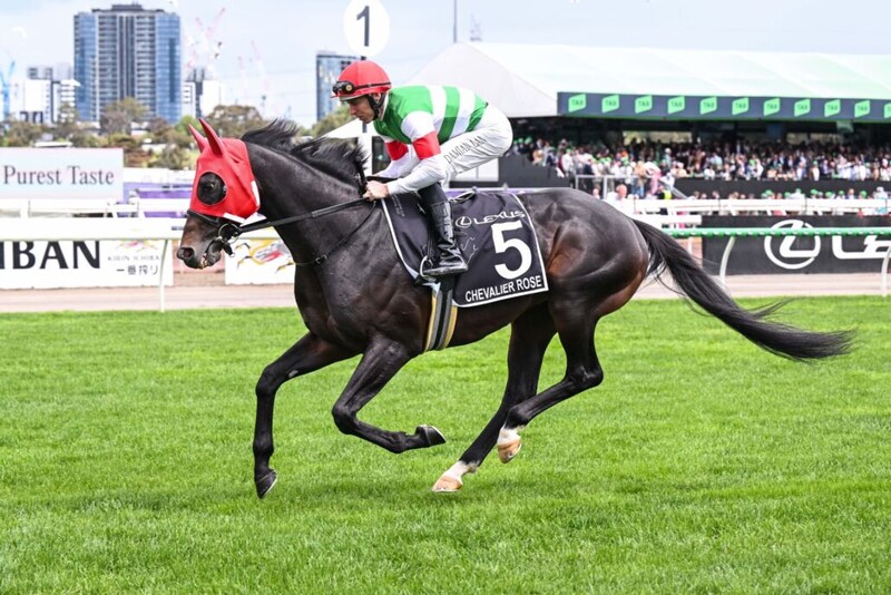 【豪メルボルンカップ】レーン「良い時の走りではなかった」…シュヴァリエローズは23着大敗、女性騎手J.メルハム騎乗ハーフユアーズがV