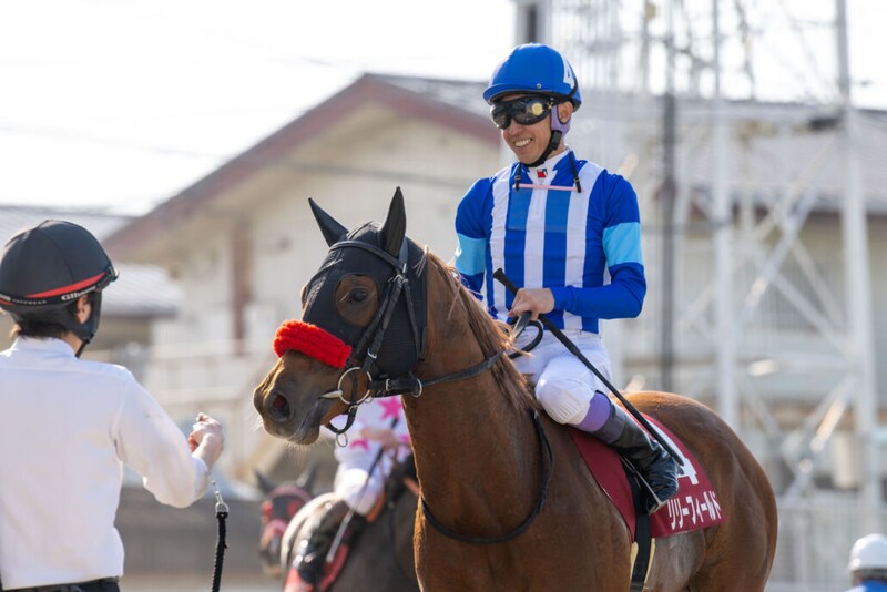 武豊騎手 今週の騎乗馬…土日京都で12鞍