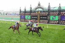 【豪クイーンエリザベスS】ゴールデンスナップは3着に好走…不良馬場で勝負根性を発揮