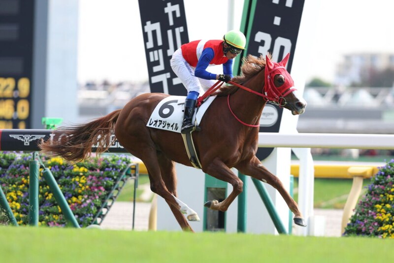 【新馬/東京6R】7番人気の伏兵レオアジャイルがデビュー勝ち